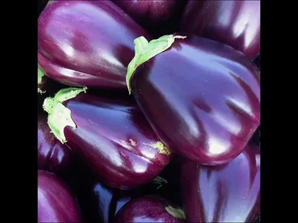 تصویر 1 از خرید و قیمت بادمجان دلمه ای بنفش + فروش عمده